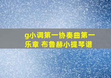 g小调第一协奏曲第一乐章 布鲁赫小提琴谱